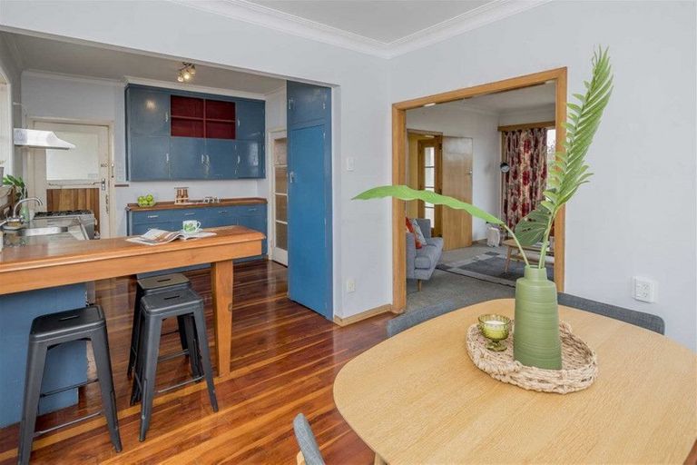 Photo of property in 19 Carlisle Street, Levin, 5510