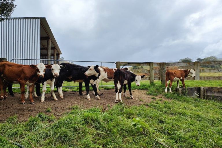 Photo of property in 1765 Tutukau Road, Ohakuri, Reporoa, 3083