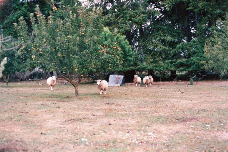 Photo of property in 618 Holland Road, Eureka, Hamilton, 3286