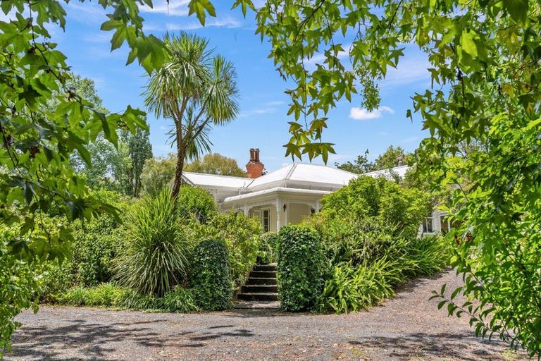 Photo of property in 290 Paihia Road, Kawakawa, 0282