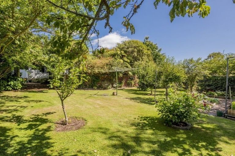 Photo of property in 18 Graham Street, Levin, 5510