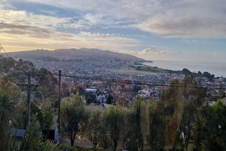 Photo of property in 30 Ravenswood Road, Saint Clair, Dunedin, 9012