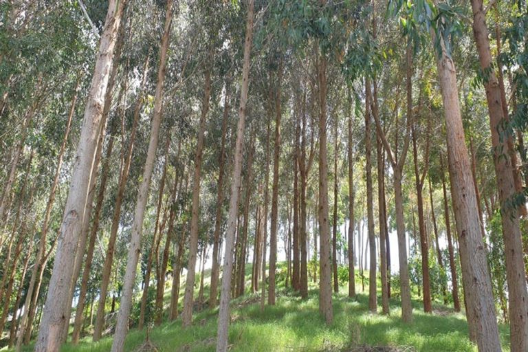 Photo of property in 521b Kauaeranga Valley Road, Thames, 3577