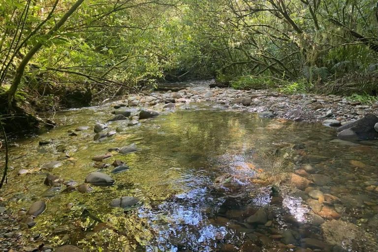 Photo of property in 774 Atarau Road, Atarau, Blackball, 7871