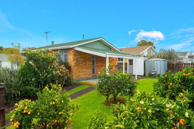 Photo of property in 8 Emerald Place, Chartwell, Hamilton, 3210