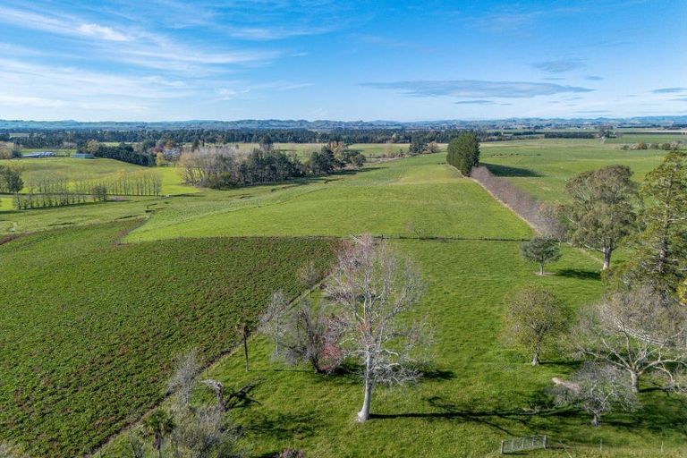Photo of property in 180 Ngaruru Road, Ongaonga, 4278