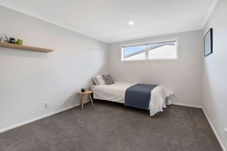 Photo of property in 113 Stanford Street North, Ashhurst, 4810