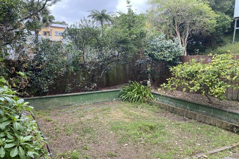 Photo of property in 7 Carrington Street, Mount Cook, Wellington, 6021