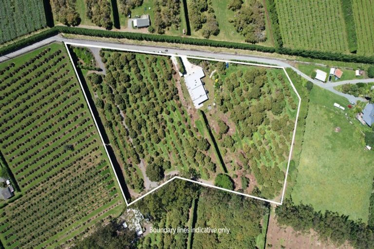 Photo of property in 485 Mangakahia Road, Maungatapere, Whangarei, 0179