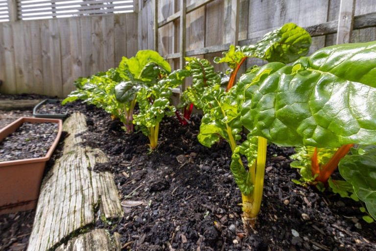 Photo of property in 29 Avion Terrace, Raumati Beach, Paraparaumu, 5032