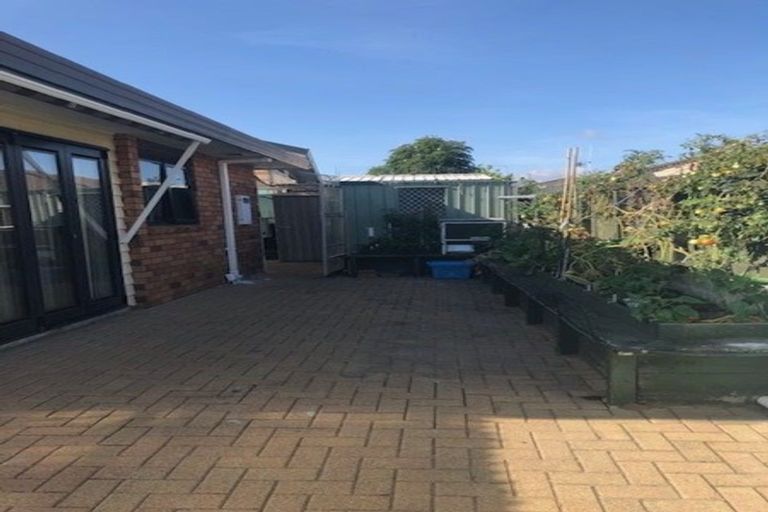 Photo of property in 11 Liftan Place, Mount Maunganui, 3116