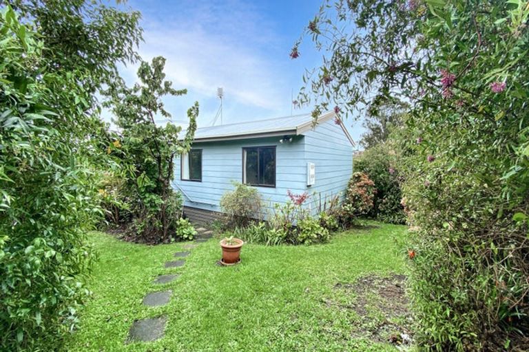 Photo of property in 16 Seabrook Avenue, New Lynn, Auckland, 0600