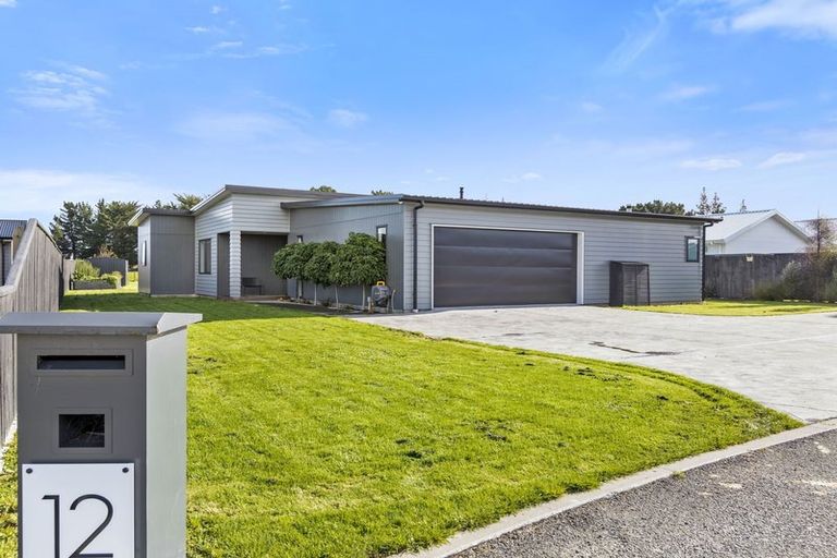 Photo of property in 12 Wycliffe Place, Solway, Masterton, 5810