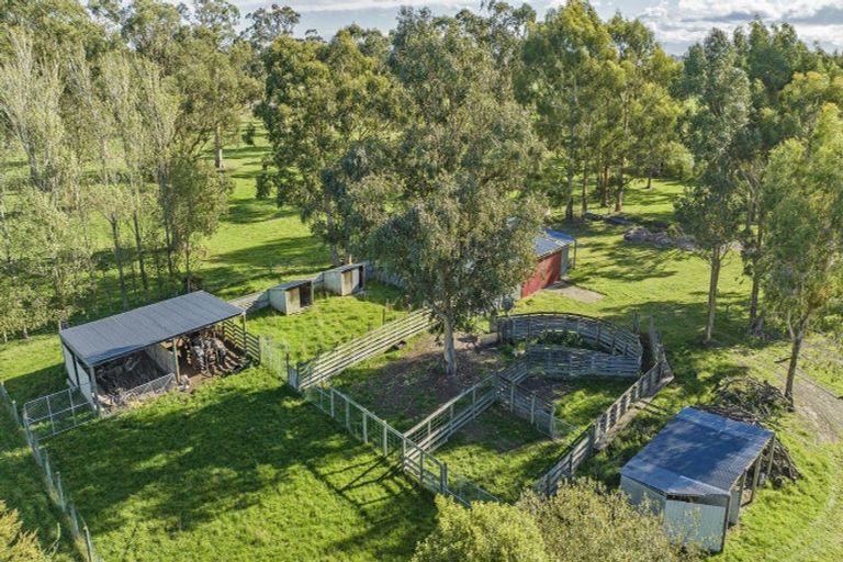 Photo of property in 14 Bealey Road, Leeston, 7683