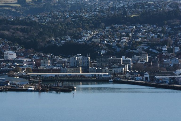Photo of property in 145 Larnach Road, Waverley, Dunedin, 9013