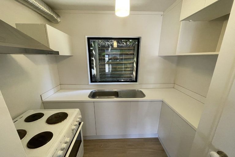 Photo of property in 55f8 Hamilton Road, Hataitai, Wellington, 6021