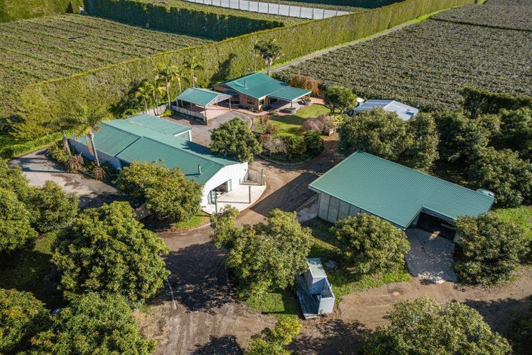 Photo of property in 204a No 2 Road, Te Puke, 3182