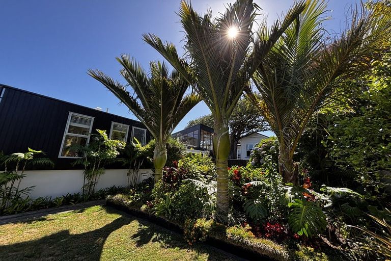 Photo of property in 163 Vivian Street, New Plymouth, 4310