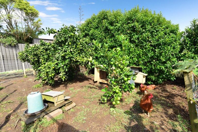 Photo of property in 14 Melva Street, Dinsdale, Hamilton, 3204