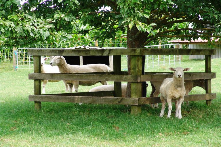 Photo of property in 351 Frontier Road, Te Awamutu, 3876