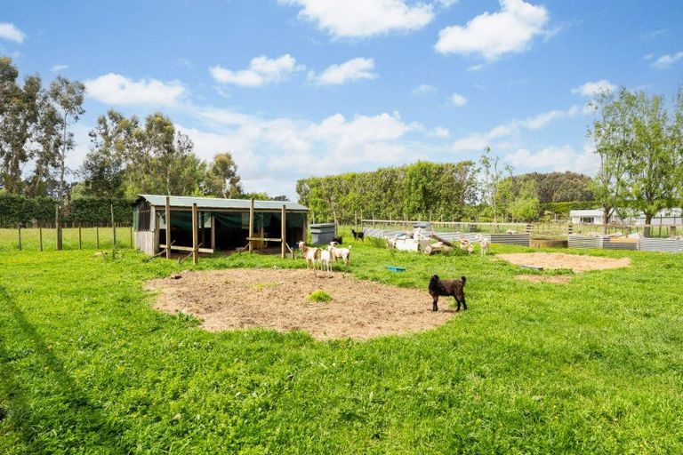 Photo of property in 456 Kaikokopu Road, Brunswick, Whanganui, 4571