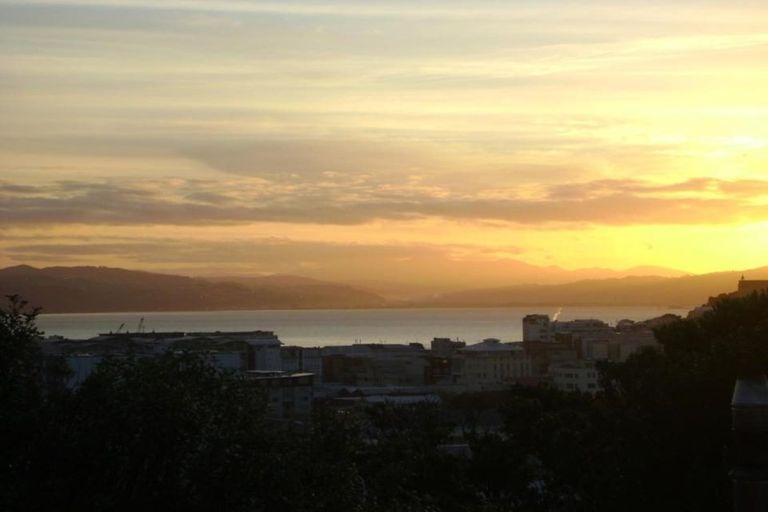 Photo of property in 53a Hankey Street, Mount Cook, Wellington, 6011