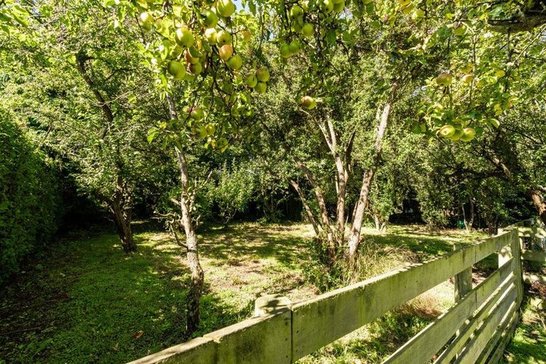 Photo of property in 17 George Street, Milton, 9220
