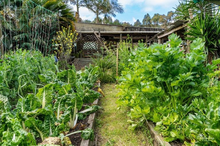 Photo of property in 70 Rototuna Road, Pouto, Te Kopuru, 0391