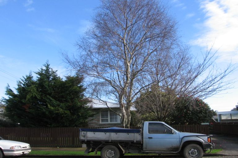 Photo of property in 10 Shamrock Street, Levin, 5510