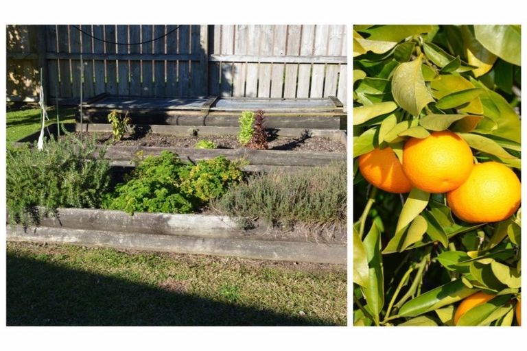 Photo of property in 12 Blundell Avenue, Kawerau, 3127