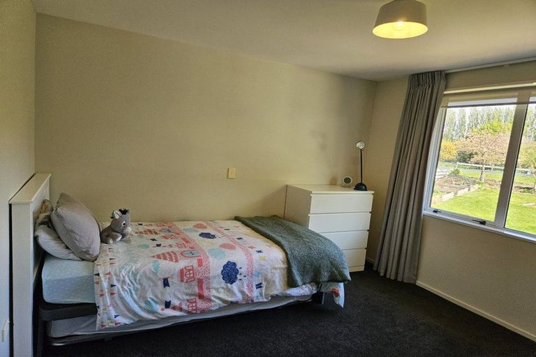 Photo of property in 165 Tancreds Road, Lincoln, Christchurch, 7672