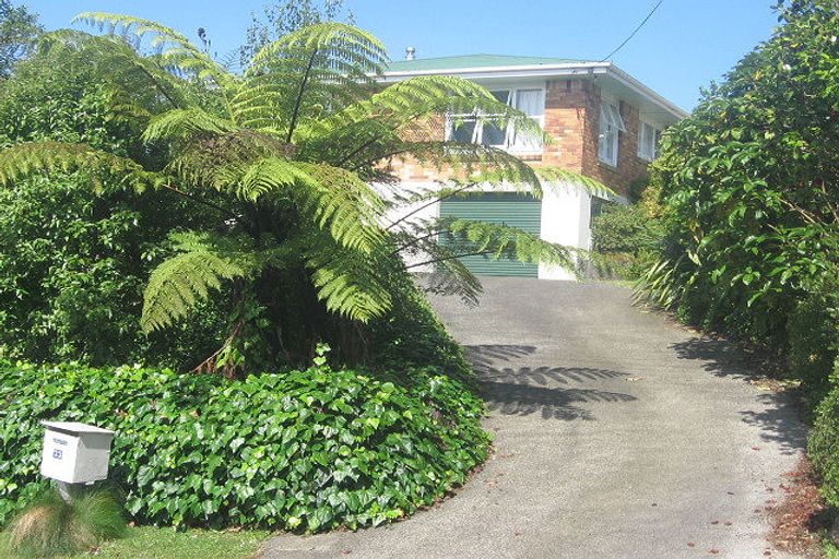 Photo of property in 33 Mountain View Road, Otorohanga, 3900