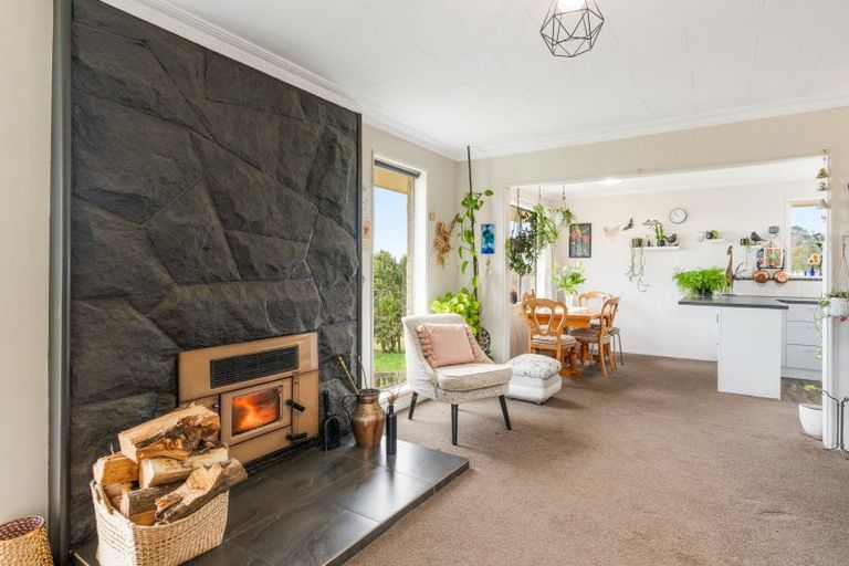 Photo of property in 22 Appleby Street, Hampden, 9410