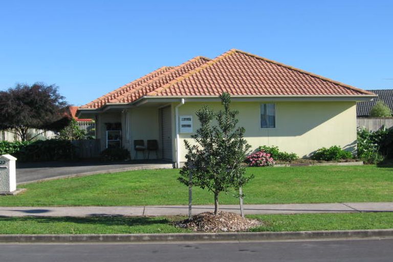 Photo of property in 22 Frank Bunce Grove, Flat Bush, Auckland, 2019