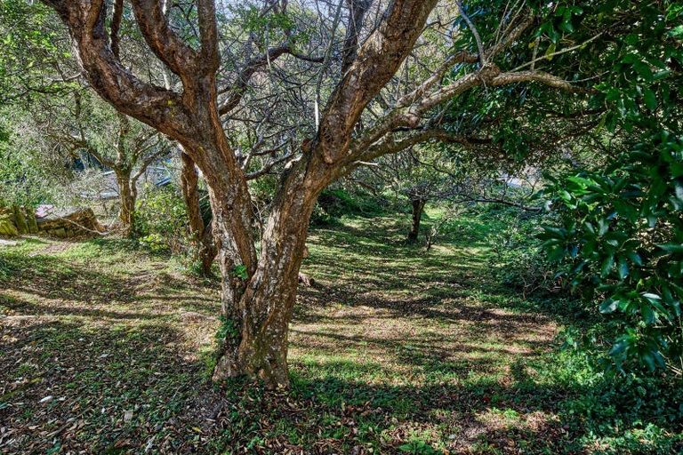 Photo of property in 26 Havelock Street, Mornington, Dunedin, 9011