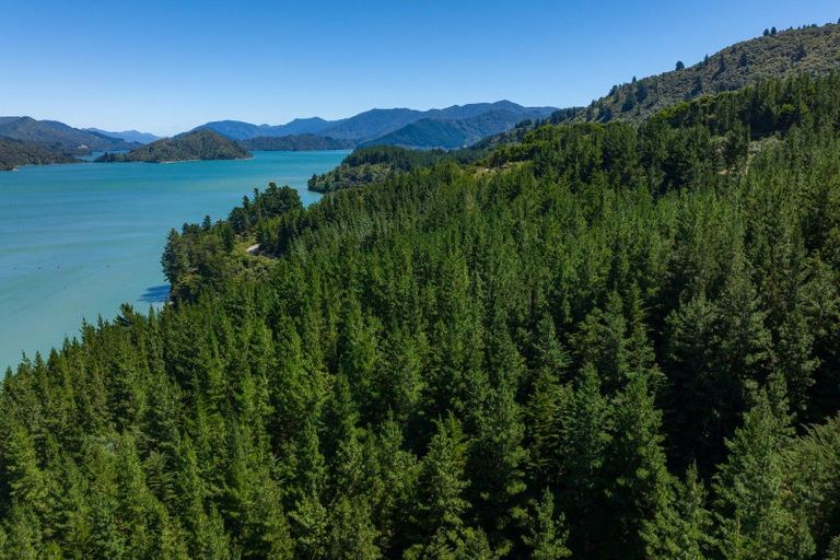 Photo of property in 4954 Kenepuru Road, Ohauparuparu Bay, Marlborough Sounds, 7282