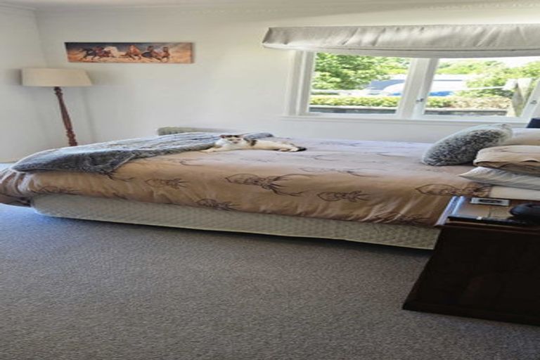Photo of property in 268 New Renwick Road, Burleigh, Blenheim, 7272