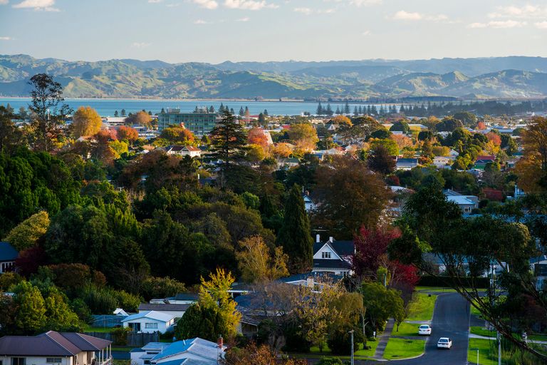 Photo of property in 71 Seddon Crescent, Whataupoko, Gisborne, 4010