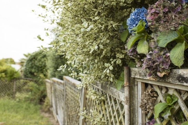 Photo of property in 85 Scott Crescent, Te Awamutu, 3800