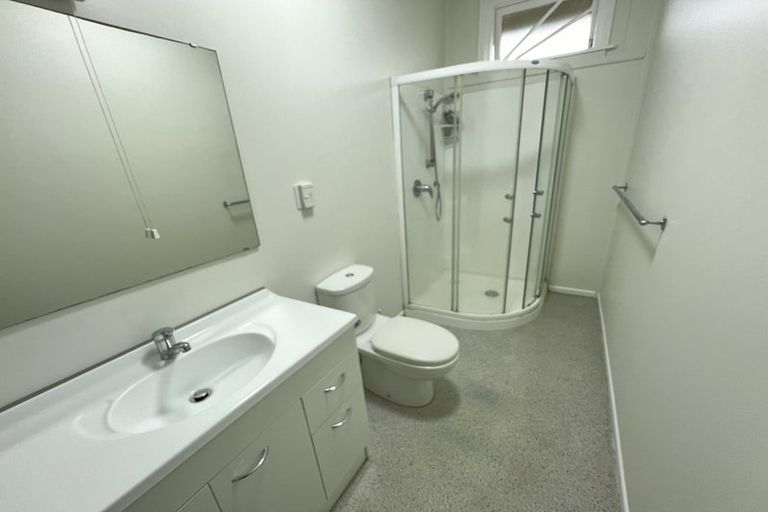 Photo of property in 17 Bidwill Street, Mount Cook, Wellington, 6021