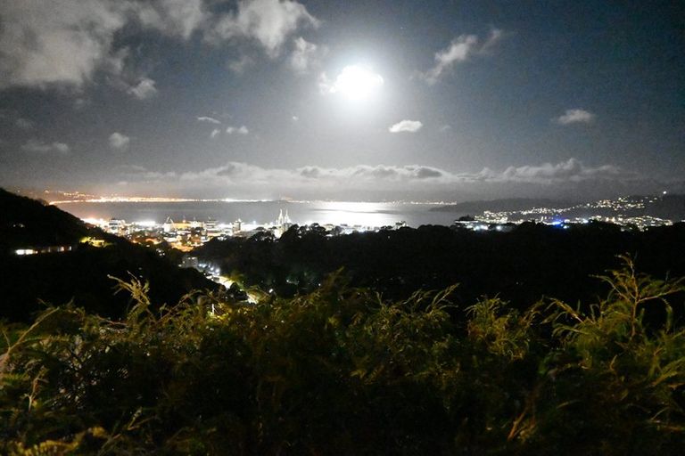 Photo of property in 47 Harbour View Road, Northland, Wellington, 6012