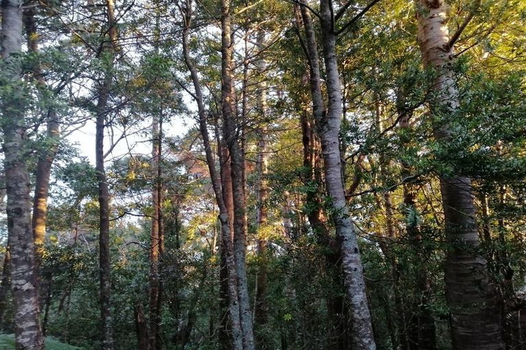 Photo of property in 16 Kittiwake Drive, Schnapper Rock, Auckland, 0632