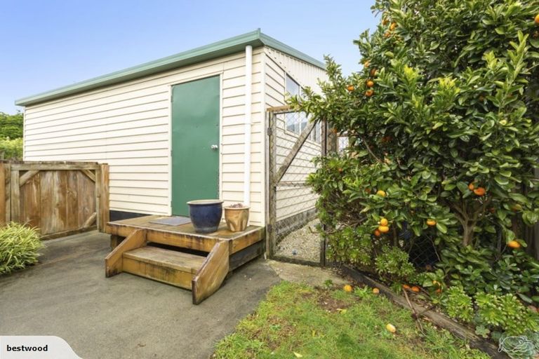 Photo of property in 52a Elizabeth Street, Tuakau, 2121