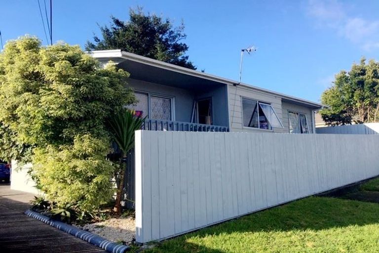 Photo of property in 163 Rathgar Road, Henderson, Auckland, 0610
