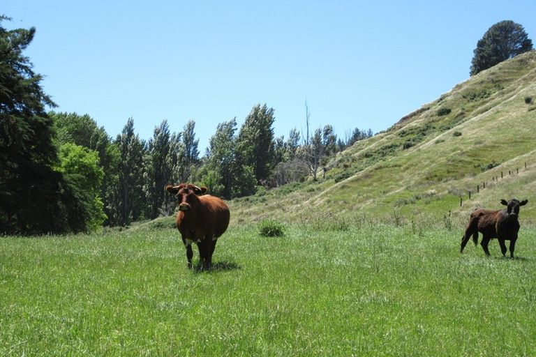 Photo of property in 3928 Porangahau Road, Porangahau, Waipukurau, 4284