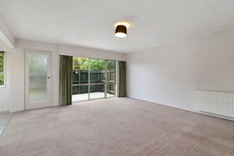 Photo of property in 19 Grey Street, Glenholme, Rotorua, 3010