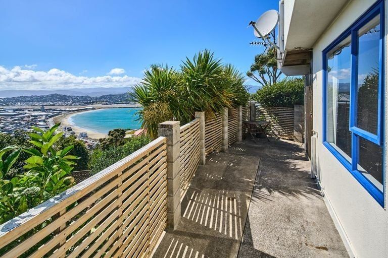 Photo of property in 133 Hornsey Road, Melrose, Wellington, 6023