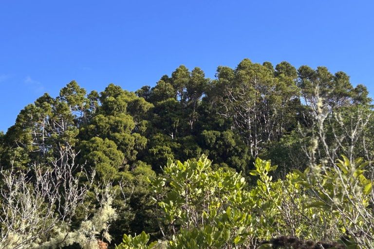 Photo of property in 55 M Greenwood Road, Leigh, 0972