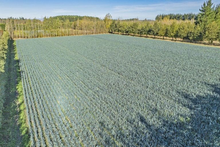 Photo of property in 581 Pesters Road, West Eyreton, 7475