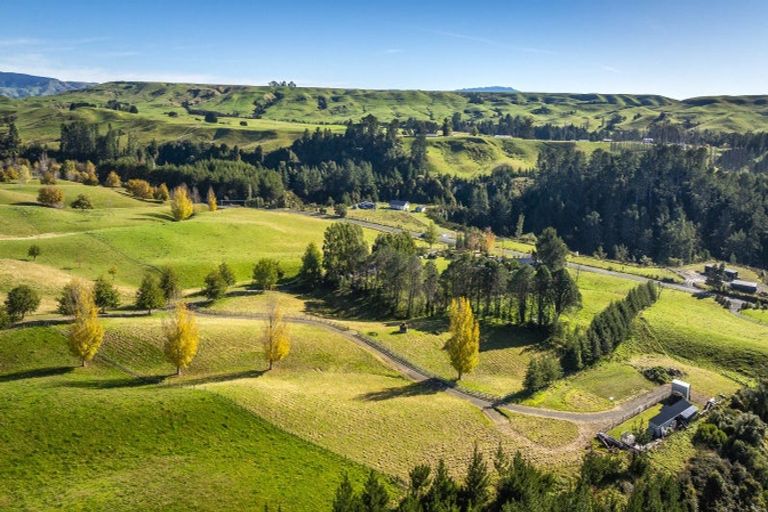 Photo of property in 1401 Kereru Road, Kereru, Hastings, 4171